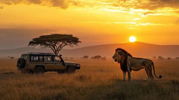 Ngorongoro Crater Expedition