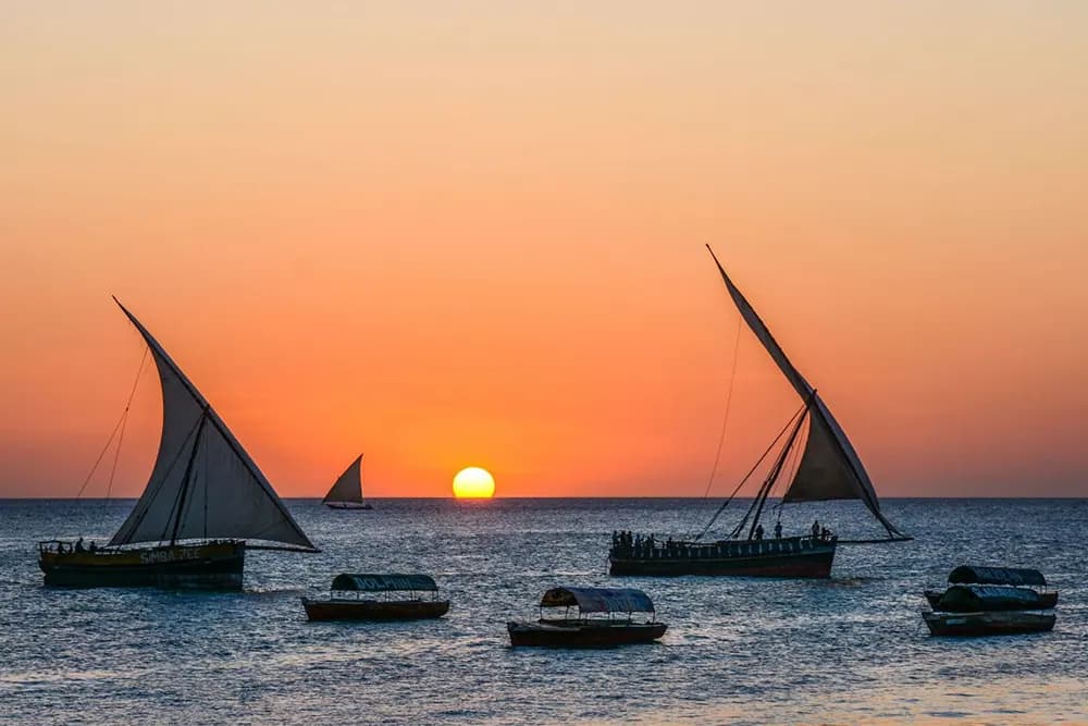 Safari and  Zanzibar Experience